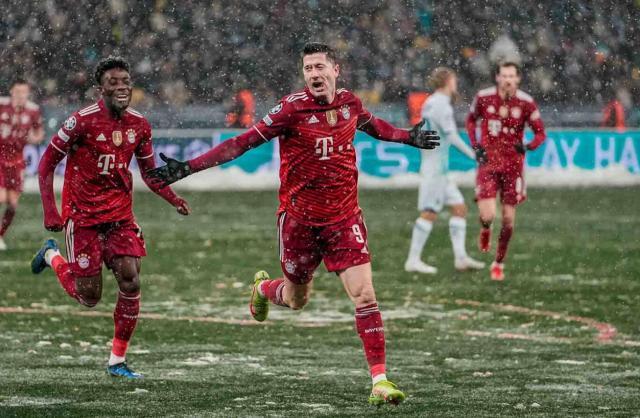 1637754369122043841.jpg 1637754369122043841.jpg